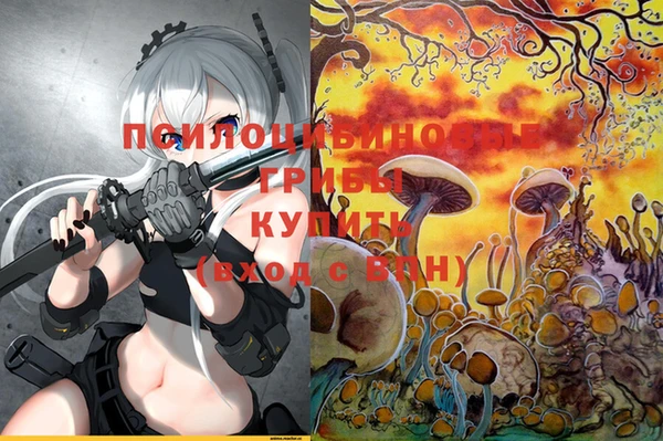 твердый Гусев