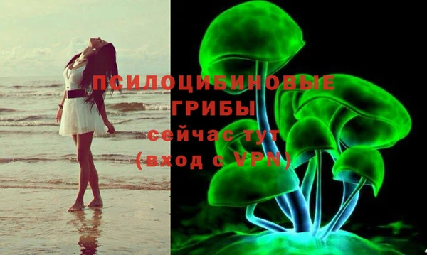 гашишное масло Горняк