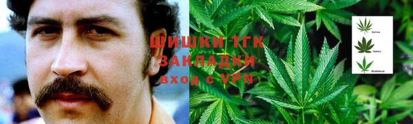 молекула духа Горнозаводск