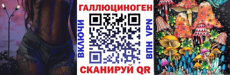 Псилоцибиновые грибы GOLDEN TEACHER  Купить где  Камызяк 