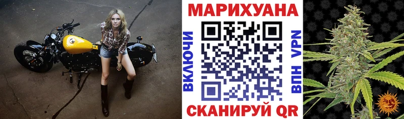 Бошки Шишки White Widow  Купить закладки  Камызяк 